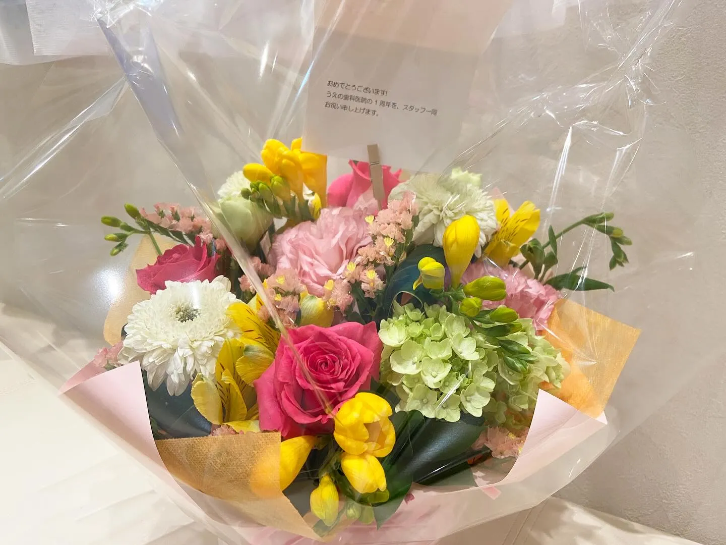 春がやってきましたね。