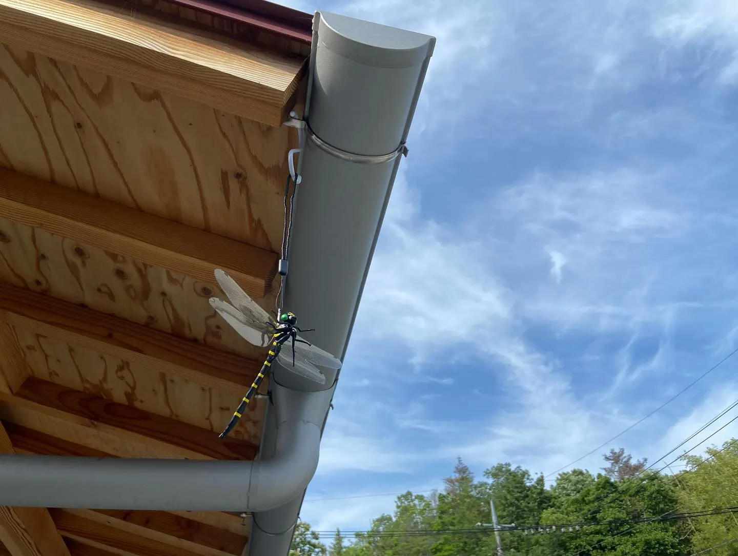 夏使用になりました。